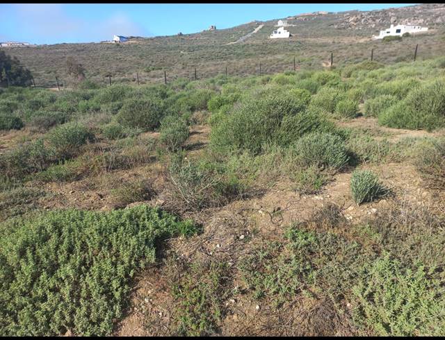 400M² VACANT LAND FOR SALE IN STEENBERGS COVE